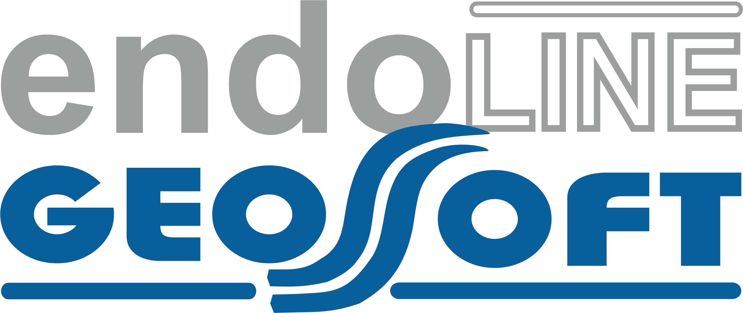 Geosoft Endoline